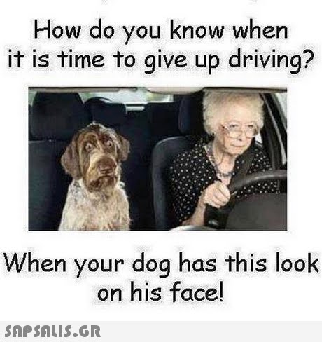 How do you know when it is time to give up driving? When your dog has this look on his face! 
