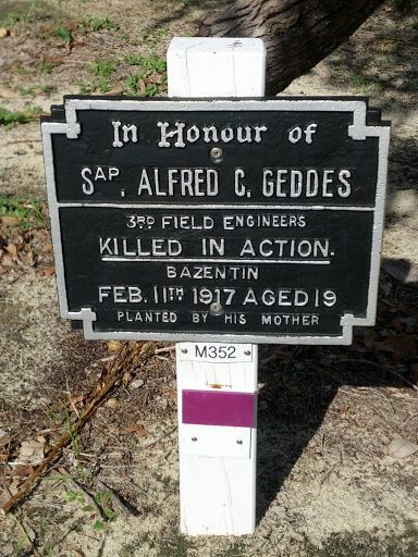 SAP Alfred C Geddes