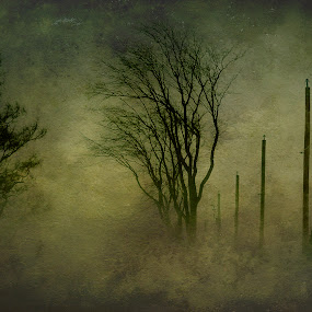Stormy Day in Mirabel by Rachel Bilodeau - Digital Art Places