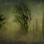 Stormy Day in Mirabel by Rachel Bilodeau - Digital Art Places