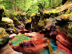 Avalanche Gorge, Glacier National Park, Montana.jpg