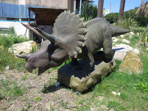 Marineland Triceratops