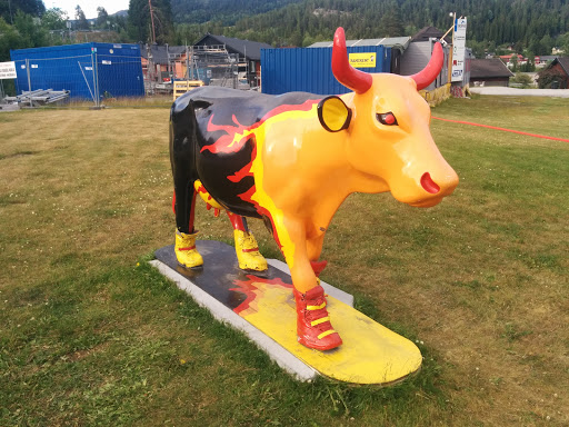 Åmot Cow