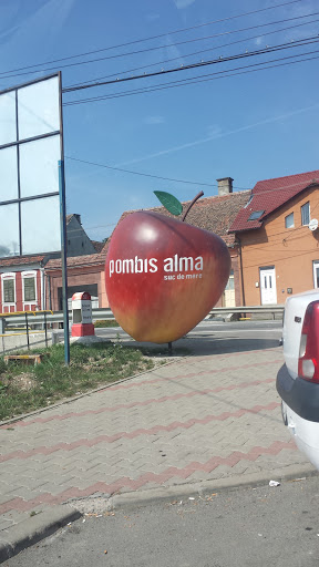 Mărul Pombis Alma