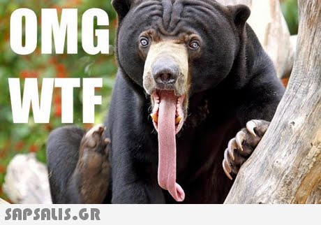 OMG WTE SAPSAIS.GR