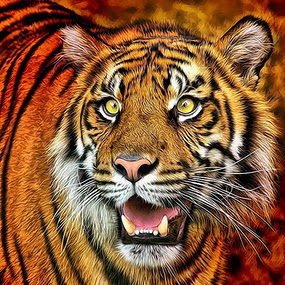Tiger Art  #4 by Pat Abbott - Photoshop Art Things ( animals. cats, digital art, wildlife, tigers )