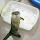 otterlpb