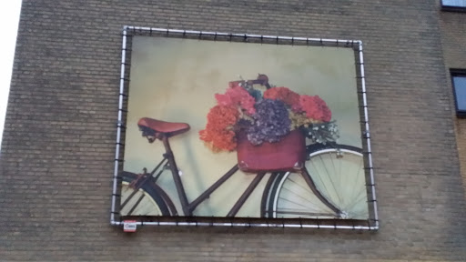 Bike and Flowers mural