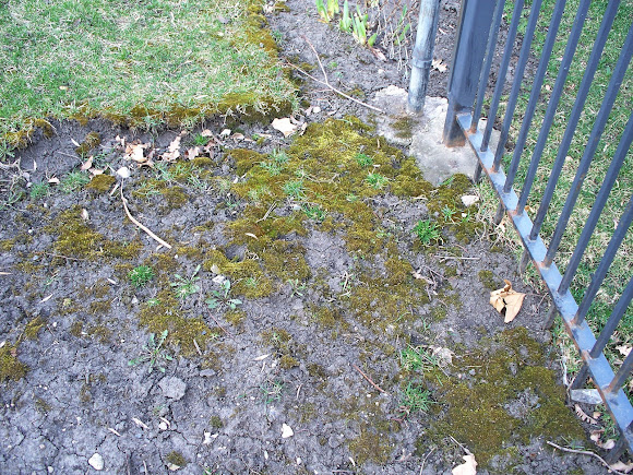 Spotting Image 1