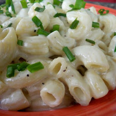 Macaroni With Fontina and Gorgonzola Cheeses