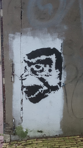 Gorilla Graffiti 