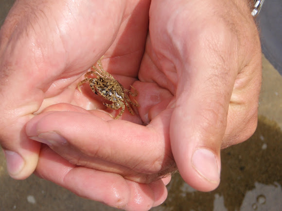 Spotting Image 1