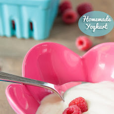 Homemade Yoghurt