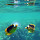 Red Sea Marine Life