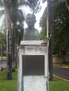 Busto De Jose De Diego 
