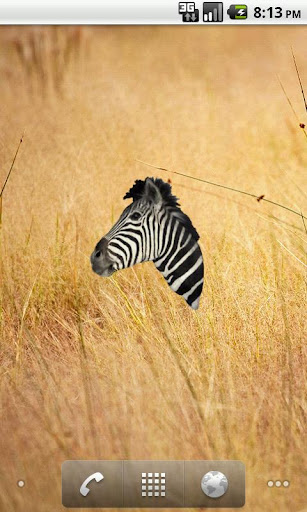 Zebra Head Sticker