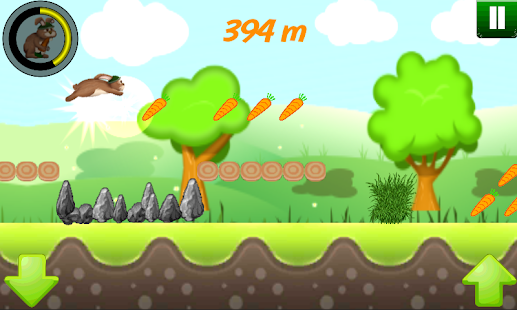 download Bunny Run 2D free
