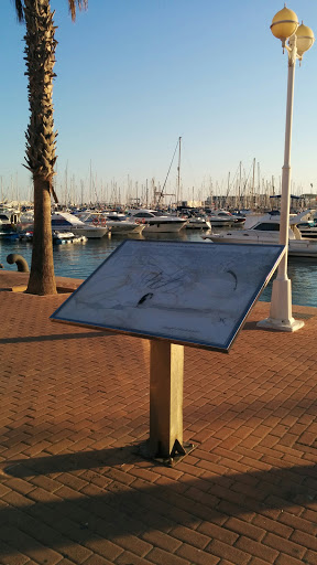 Plano General Puerto de Alicante