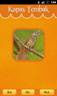 How to install Grey-cheeked Bulbul 1.1 mod apk for pc
