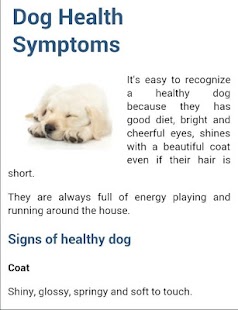 How to mod Dog Symptoms Cure lastet apk for android