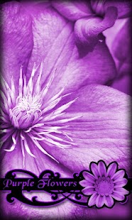 How to install Purple Flowers Live Wallpaper 3.1 unlimited apk for bluestacks