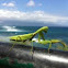Praying Mantis