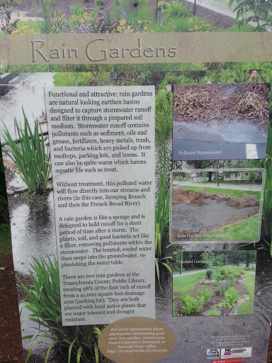 Rain Gardens Of Brevard