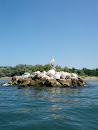 Madonna Dei Pescatori