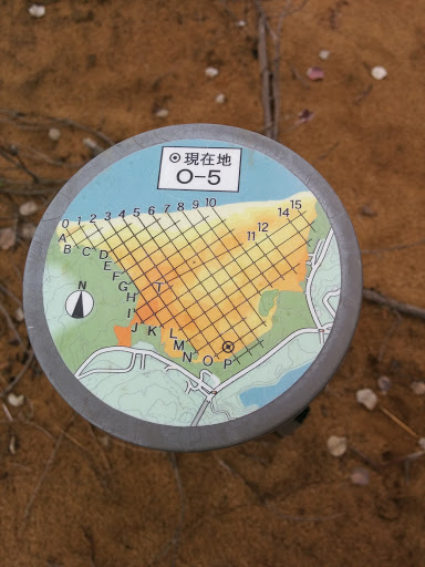鳥取砂丘 O-5