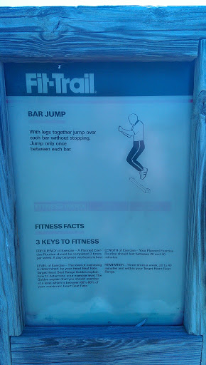 Bar Jump Fit Trail