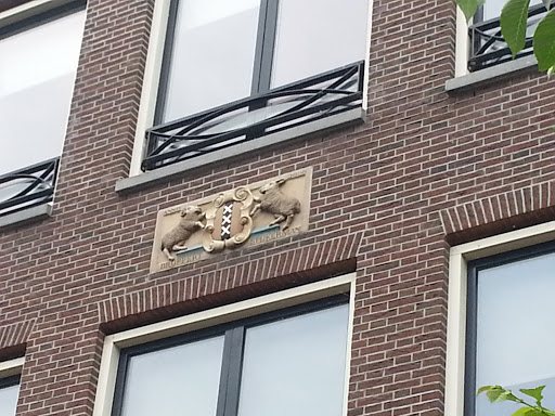 Schapen In Amsterdam