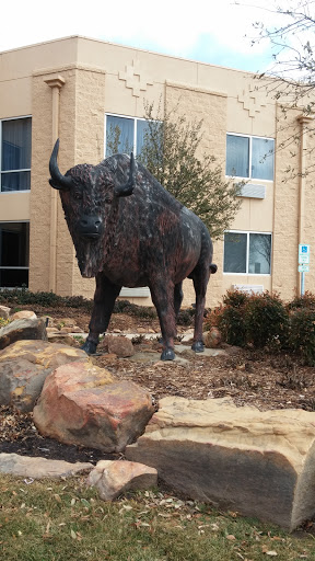 Buffalo Statue 
