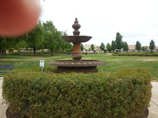Willow Fountain