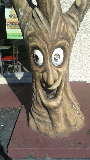 Smiling Tree Stump