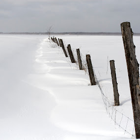 by Rachel Bilodeau - Landscapes Prairies, Meadows & Fields