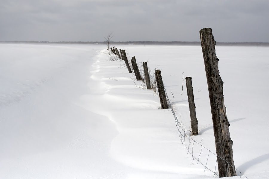 by Rachel Bilodeau - Landscapes Prairies, Meadows & Fields