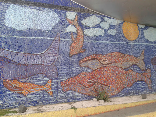 Mural De Ballenas Parador Las Américas