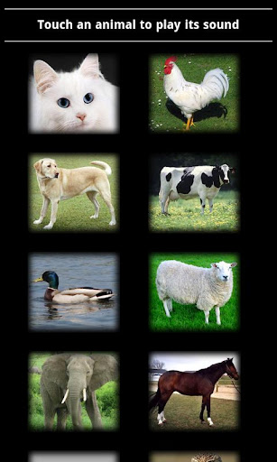 Animal Sounds :-