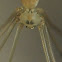 Cellar spider