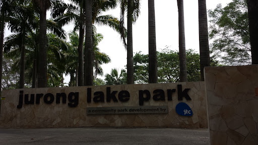Coconut Trees at Jurong Lake Park