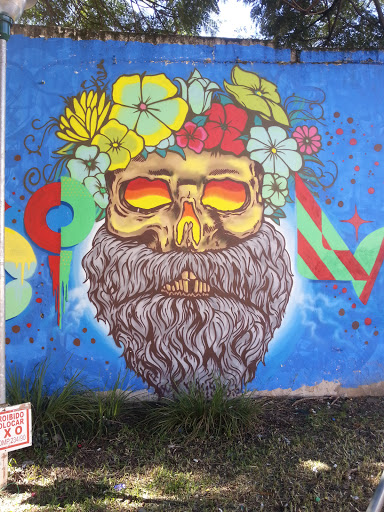 Arte No Muro Skull Barbuda