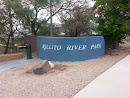 Rillito River Park 