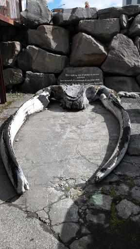 Whale Jaw