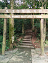 Tsui Hang Nature Trail