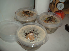 DSCF0606.JPG