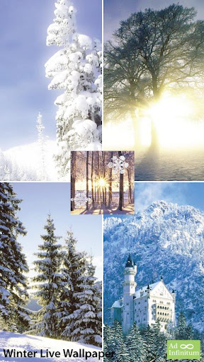 【免費個人化App】Winter Live Wallpaper-APP點子