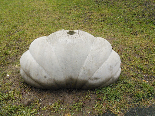 Seashell with Hole