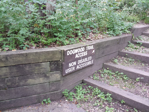 Dogwood Trail Access