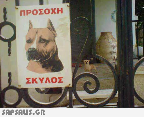 ΠΡΟΣΟΧΗ ΣΚΥΛΟΣ 