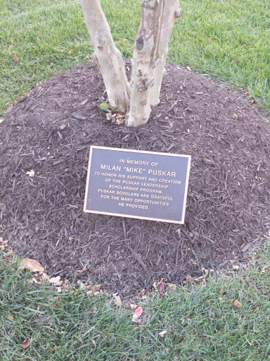 Milan Mike Puskar Memorial Tree